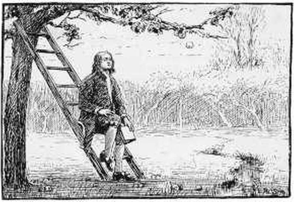 Isaac Newton is supposed to have been inspired to formulate his law of gravity when an apple fell on his head.